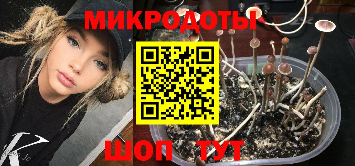 Псилоцибиновые грибы мицелий  Вход с VPN  Югорск  Галлюциногенные грибы ЛСД 